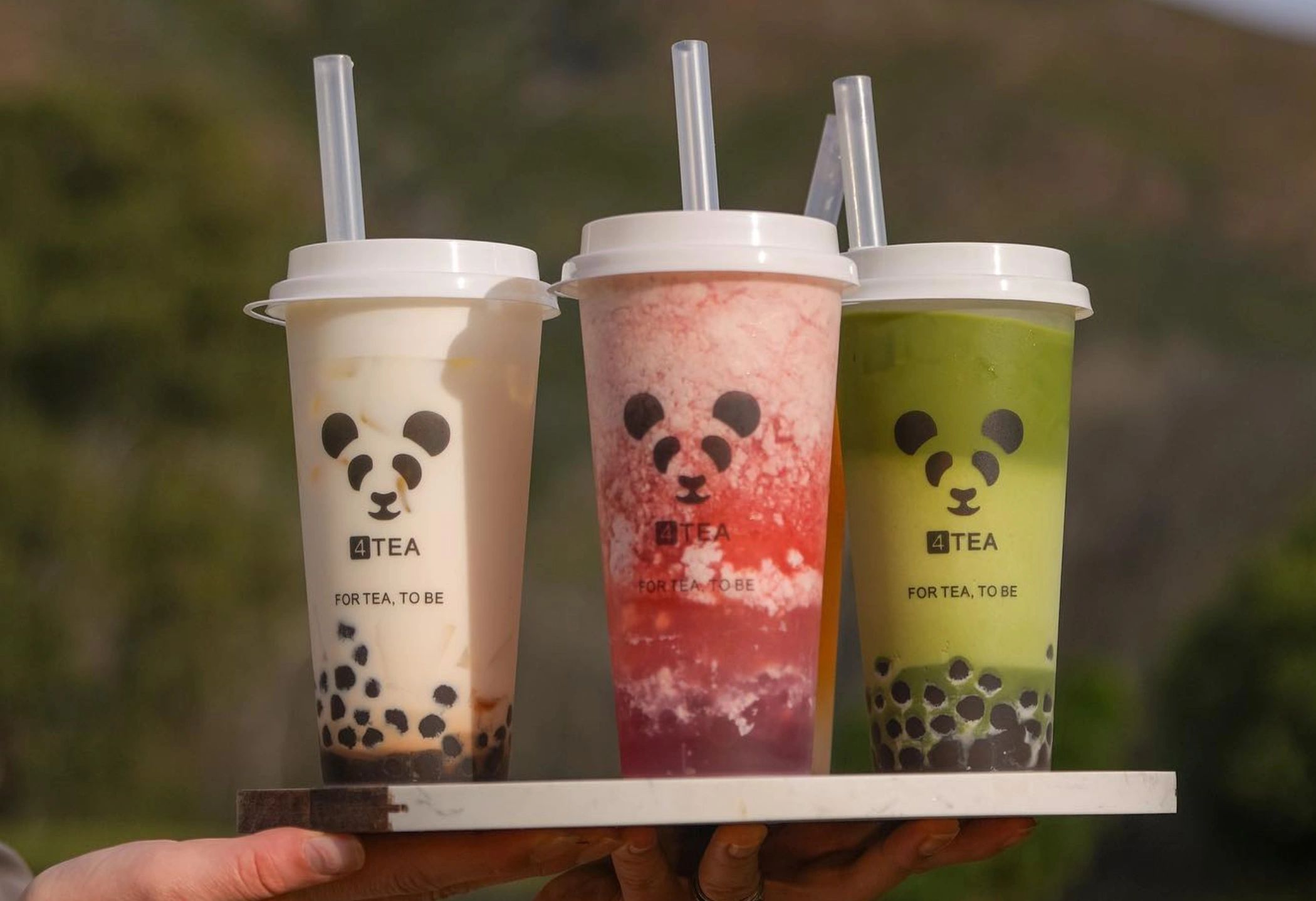 ★Milk tea★ Best Boba Tea in Town | Dine-In Bubble Tea Place